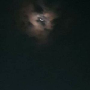 Meet your Posher, Missy